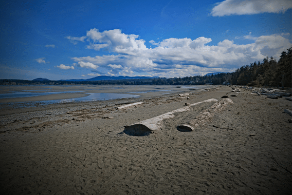 Rainhouse Service Areas in Parksville, British Columbia