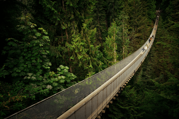 Capilano-Suspension-Bridge